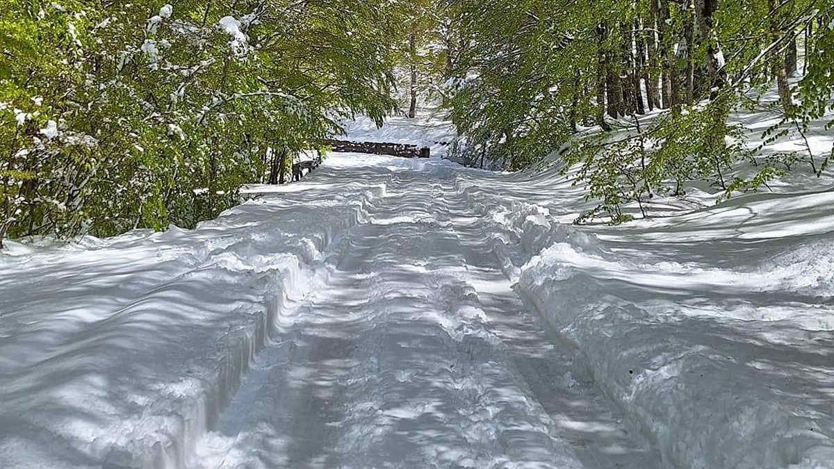 Abruzzo, nevicate fino a 700 metri: le ultime news e le immagini