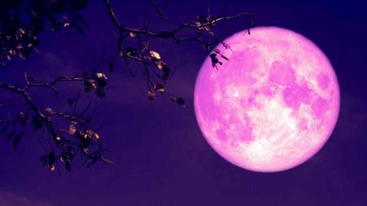 Arriva la Luna Rosa, significato e curiosità del plenilunio d'aprile