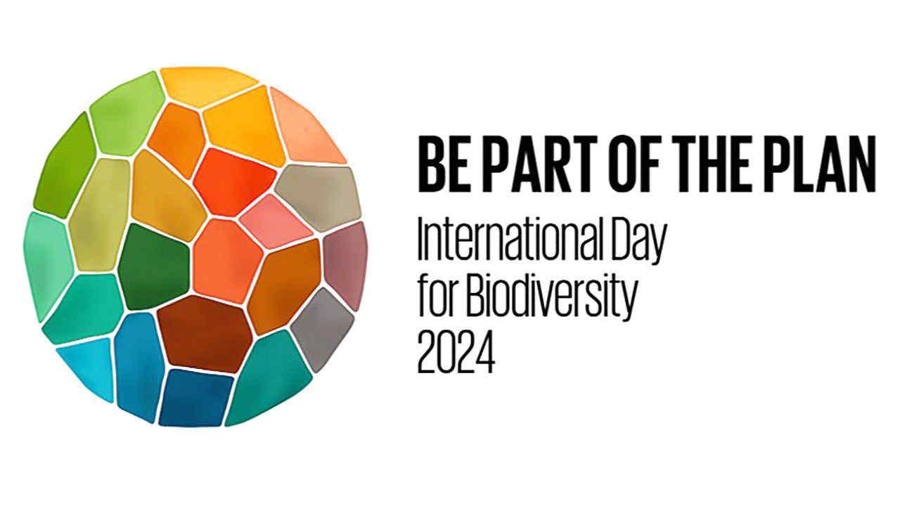Oggi è la Giornata mondiale della biodiversità: 20 azioni che tutti possiamo compiere per un Pianeta più "ricco"