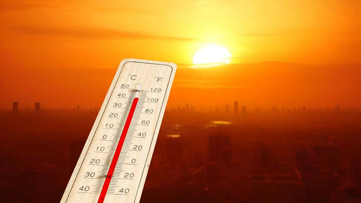 Estate 2023: la più calda da 2.000 anni. Lo rivelano gli alberi