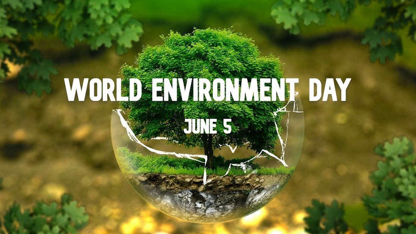 Giornata dell'ambiente 2024: "Una sola Terra". Sette cose che possiamo fare tutti