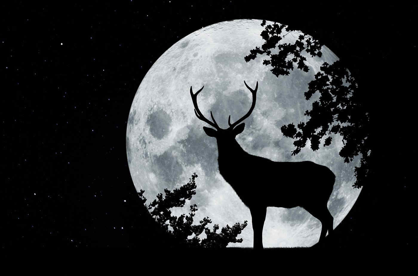 Luna piena del Cervo 2024, sarà una Superluna?