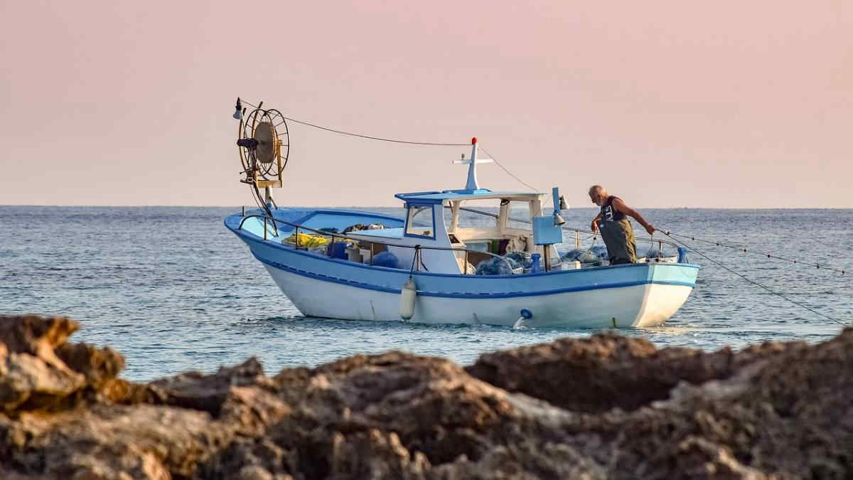 Meteo, Mar Adriatico troppo caldo: i problemi anche per i pescatori