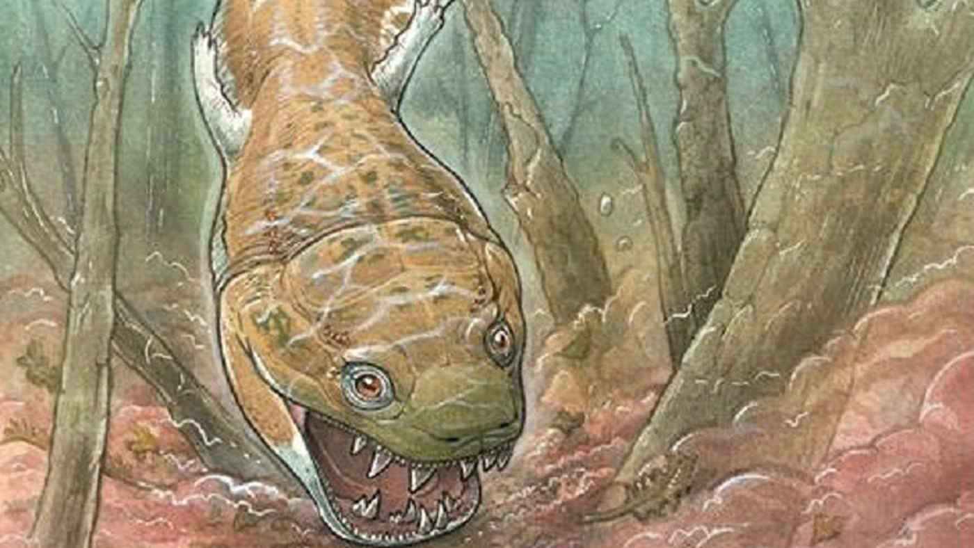 Scoperta una salamandra gigante che seminava il terrore prima dei dinosauri