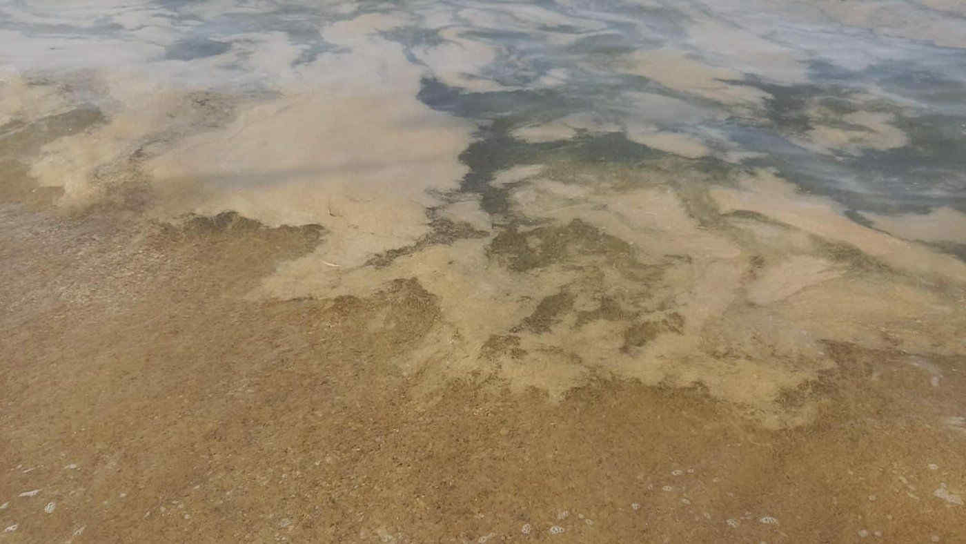 Mucillagine nel mar Adriatico. Come mai?