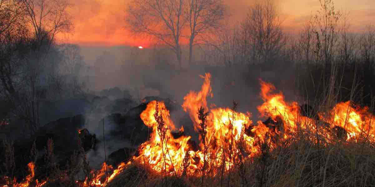 Incendi devastano l’Amazzonia: più di 4 milioni di ettari bruciati tra Brasile, Bolivia ed Ecuador