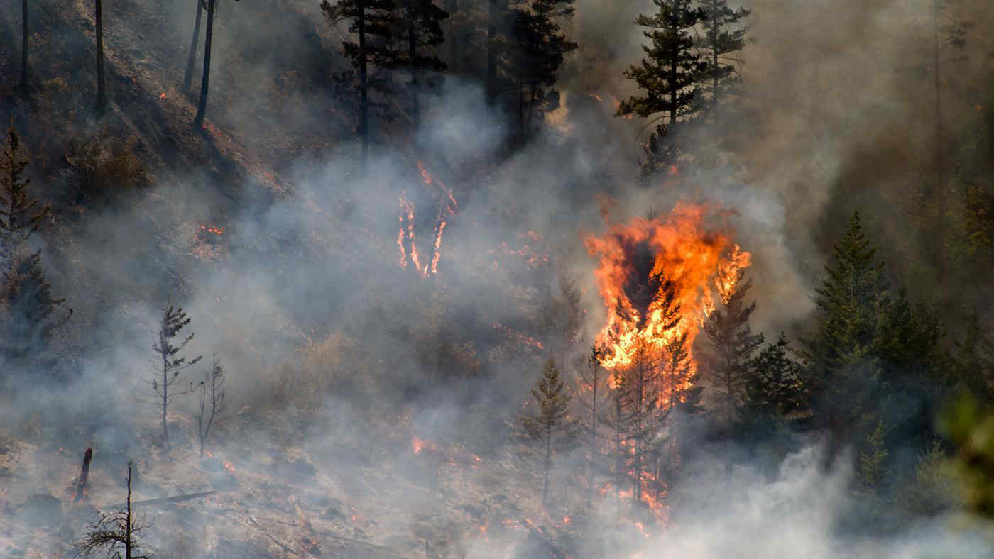 Emissioni: più dagli incendi in Canada del 2023 che dalla maggior parte dei Paesi più inquinanti