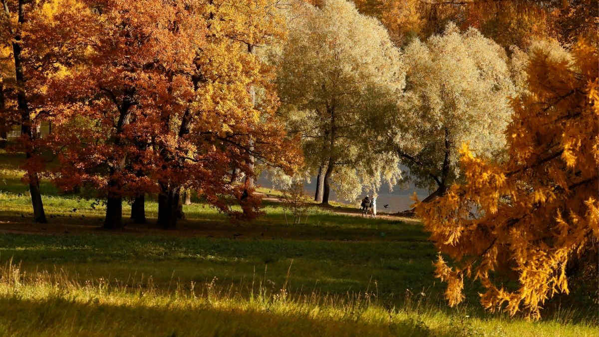 Meteo, stop al maltempo entro il weekend dell'equinozio di autunno. La tendenza da venerdì 20 settembre