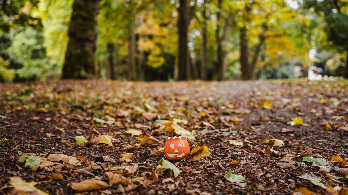 Meteo, le previsioni per Halloween e Ognissanti: domina l’anticiclone con sole e bel tempo