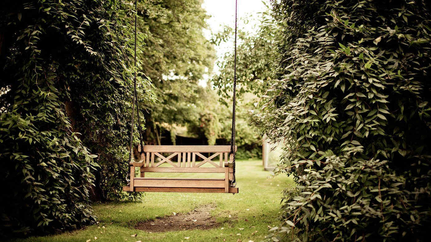 Giardino d'autunno: 10 piante che colorano lo spazio verde fino a Natale