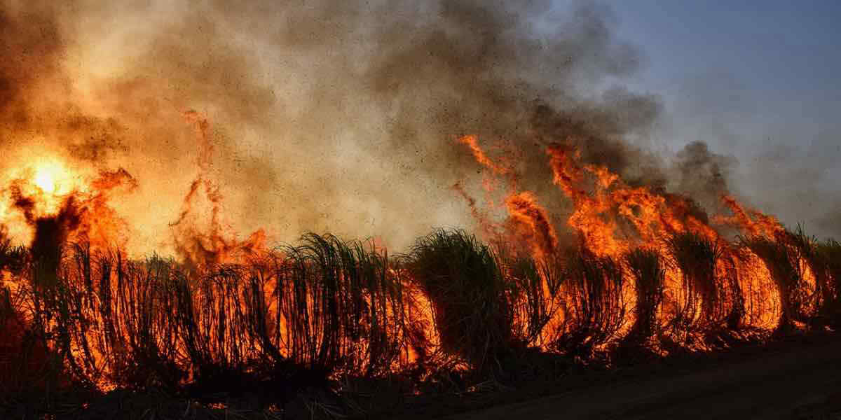 Inquinamento da incendi: 1,5 milioni di morti all’anno