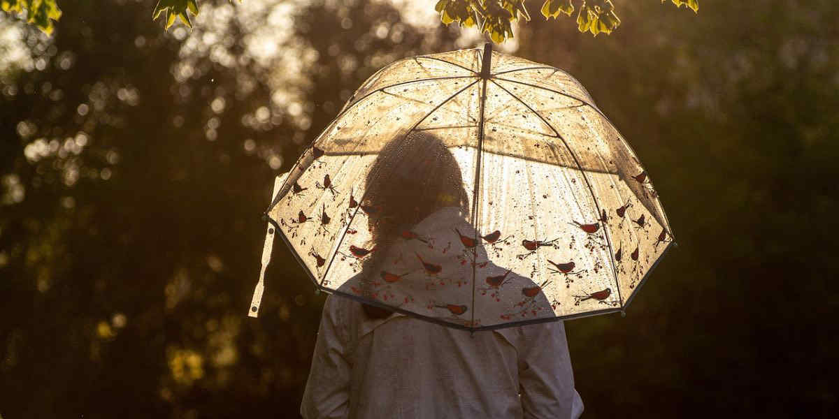 Meteo: estate di San Martino finita? Pioggia, vento e neve ci daranno un primo assaggio d'inverno