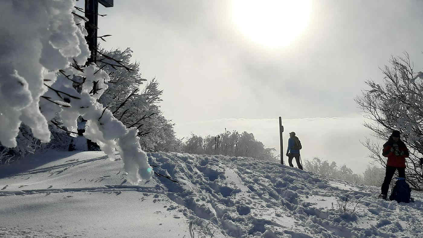 Appennino imbiancato: la neve sul monte Falco e sul monte Falterona - Foto