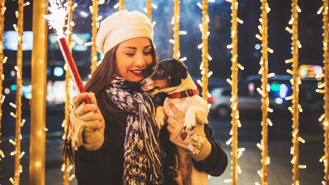 Botti di Capodanno: come mettere al sicuro i propri animali