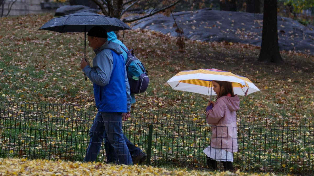 Meteo, pioggia e clima invernale anche a inizio settimana. La tendenza