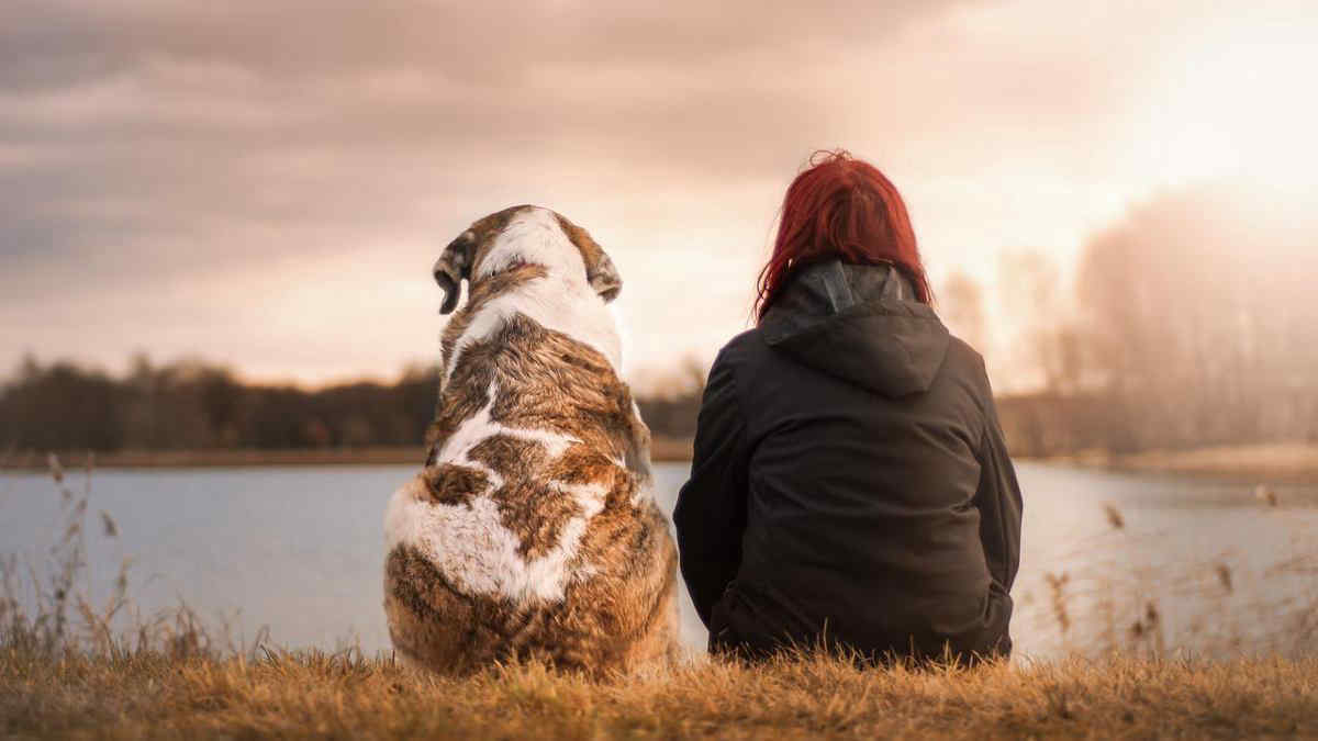 Quali sono i migliori cammini in Italia da fare con il tuo cane?