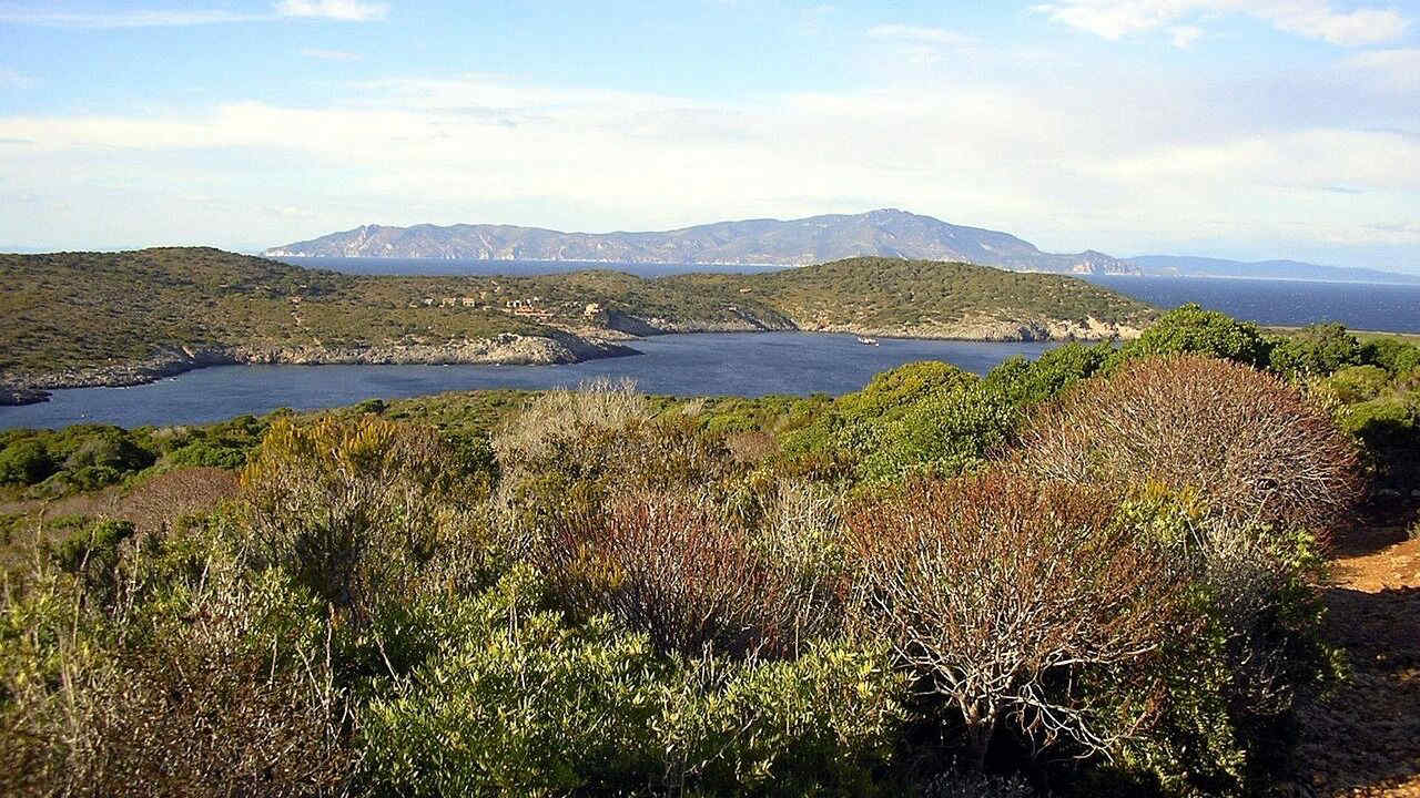 Qual è l'isola più piccola d'Italia? Un gioiellino di 2,6 kmq è il paradiso per lo snorkeling (e non solo)