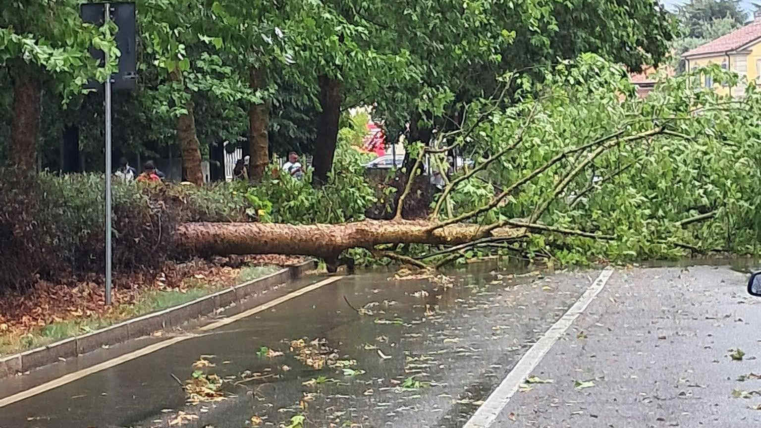 Maltempo Piemonte, forte temporale a Torino e chicchi di grandine e raffiche di vento a Chieri