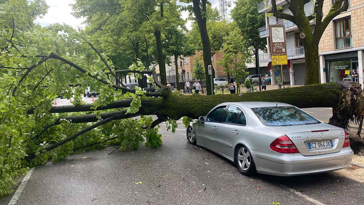 Maltempo in Veneto: paura a Conegliano Veneto per un nubifragio con forti raffiche di vento e alberi caduti