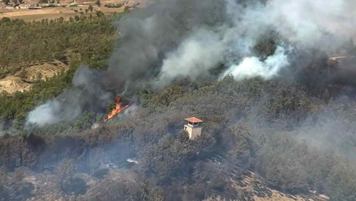 Incendi in Sicilia, numerosi focolai nel Catanese: bruciano sterpaglie e vegetazione tipica mediterranea