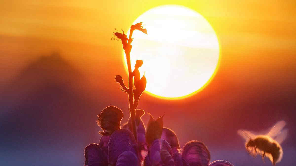 L'ondata di calore nel Sud Italia potrebbe rivelarsi la peggiore mai registrata in Europa