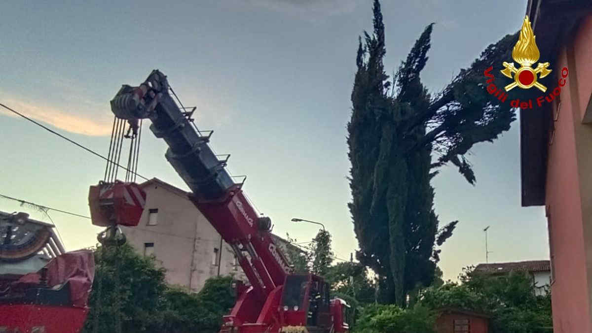 Maltempo in Friuli Venezia Giulia con fortissime raffiche di vento fino a 140 km/h: alberi caduti e disagi nelle Grotte Verdi di Pradis