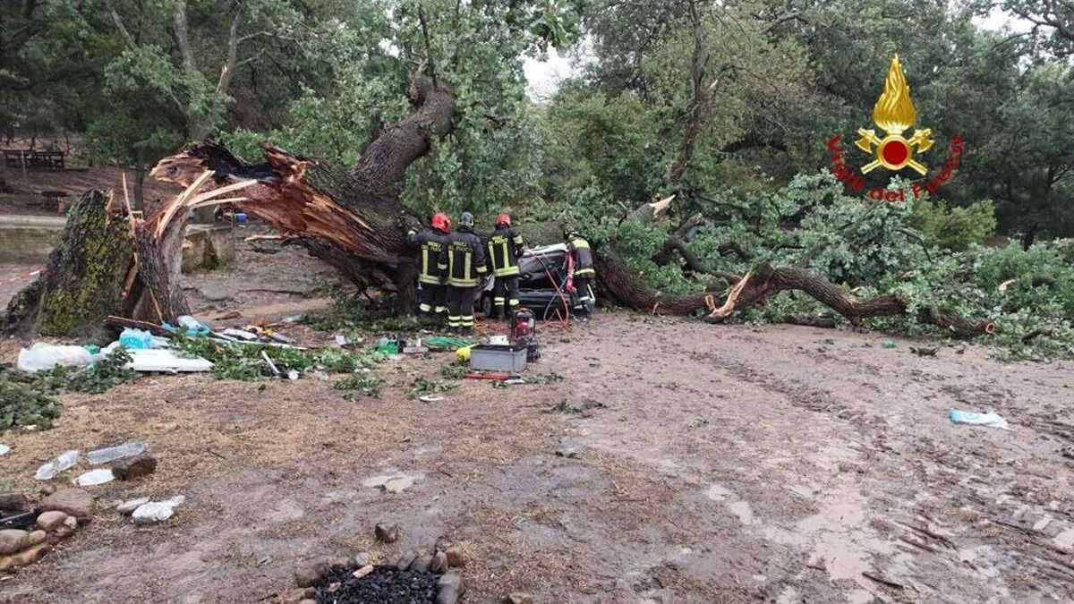 Maltempo a Matera: dramma dopo un violento temporale con alberi caduti - Video