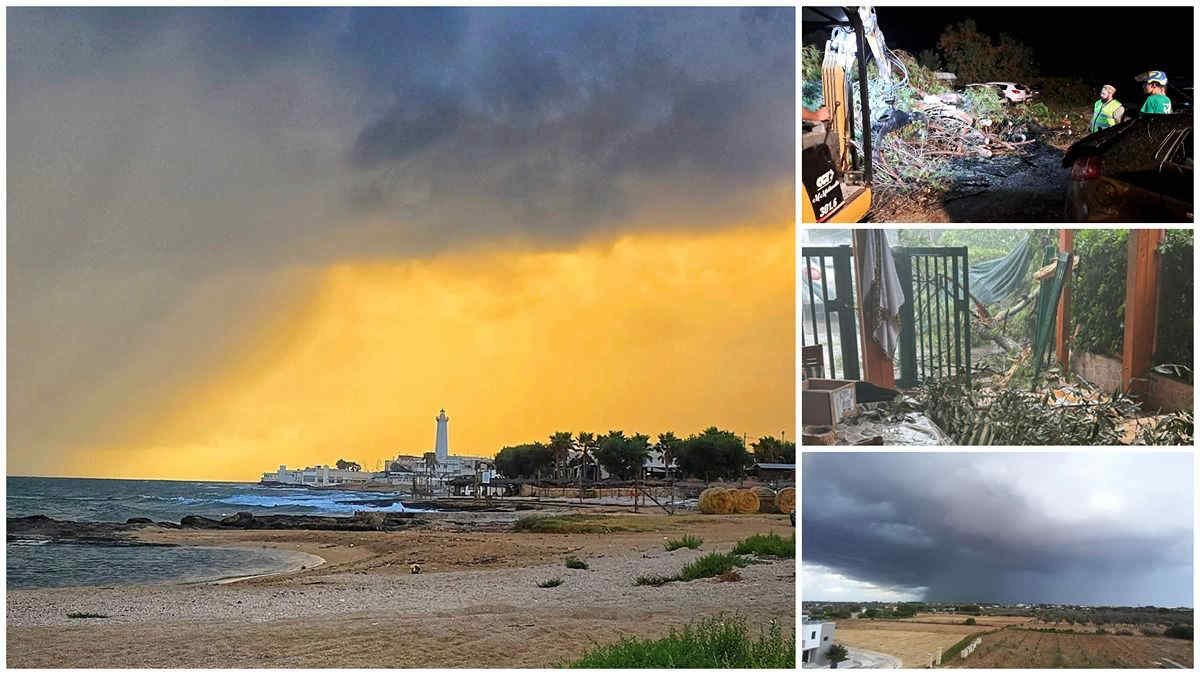 Maltempo in Puglia, raffiche di vento e tromba d'aria a Peschici sul Gargano: alberi caduti e disagi