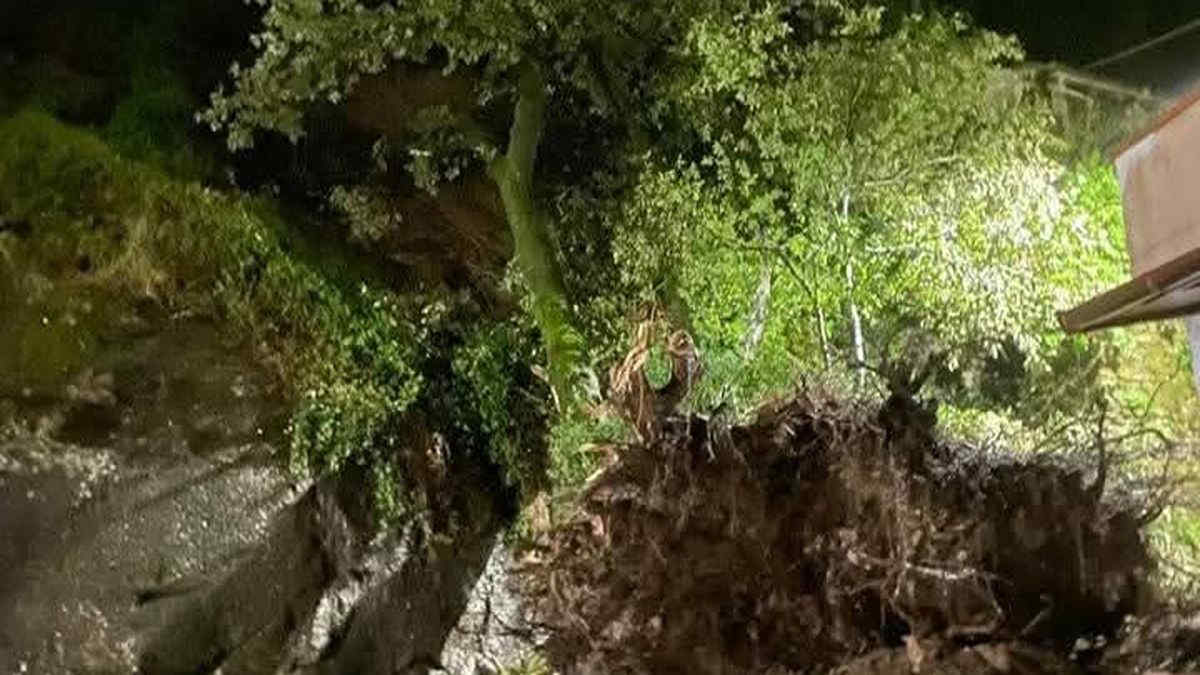 Maltempo Toscana: piogge intense, vento forte e disagi nel litorale versiliese e in molte province interne - Video