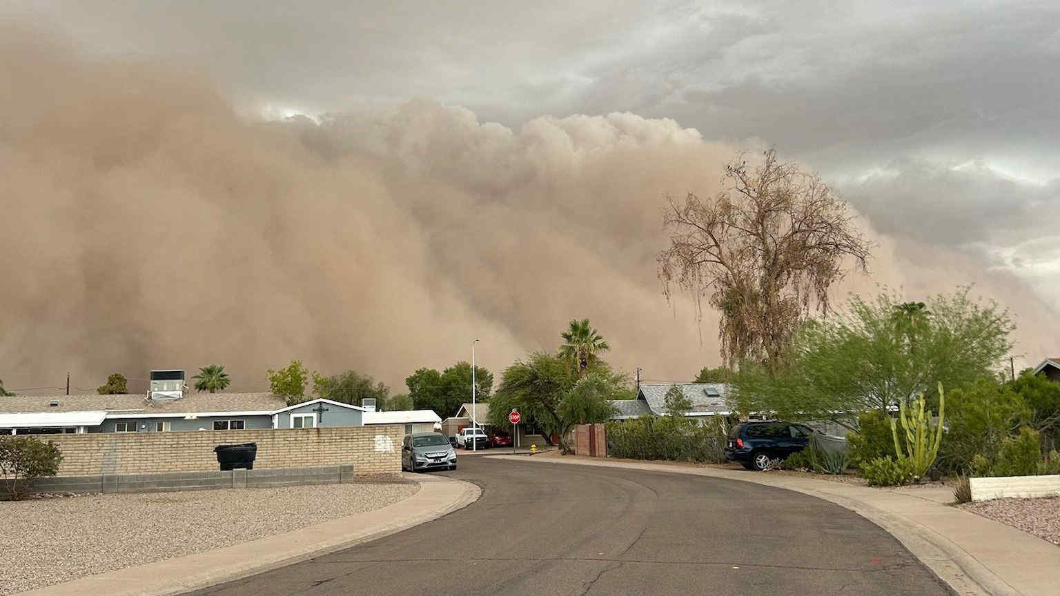 USA, una gigantesca tempesta di sabbia colpisce l'Arizona: blackout, stop ai voli e traffico in tilt