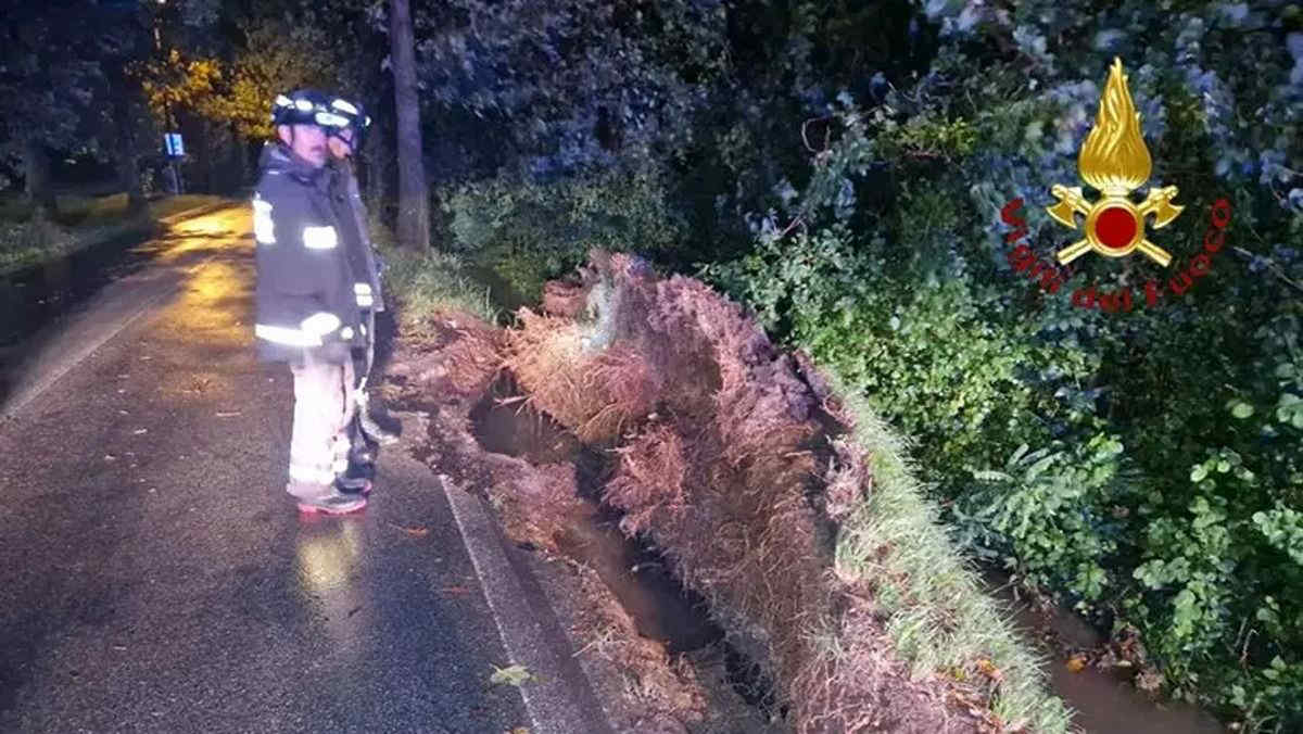 Maltempo Veneto e Liguria: alberi caduti e allagamenti. Disagi anche alla Mostra del Cinema - Immagini