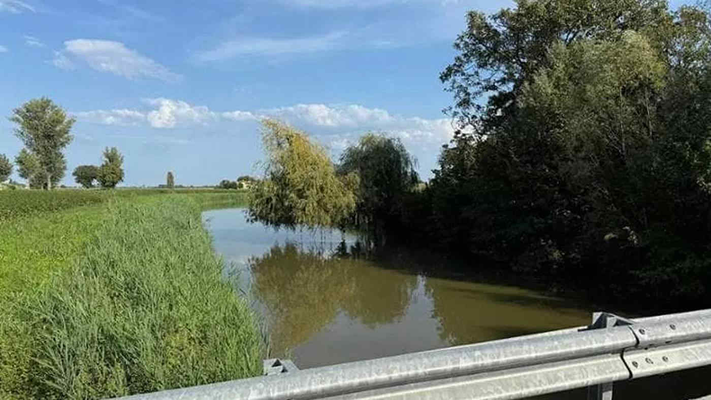 Allarme pesci contaminati da Pfos: in Italia fino a 900 volte oltre i limiti