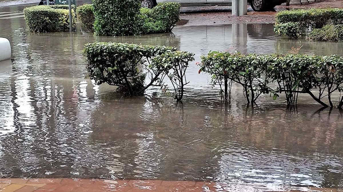 Maltempo in Veneto, Friuli Venezia Giulia e Trentino Alto Adige: nubifragi e temporali con anche 100-120 mm di acqua