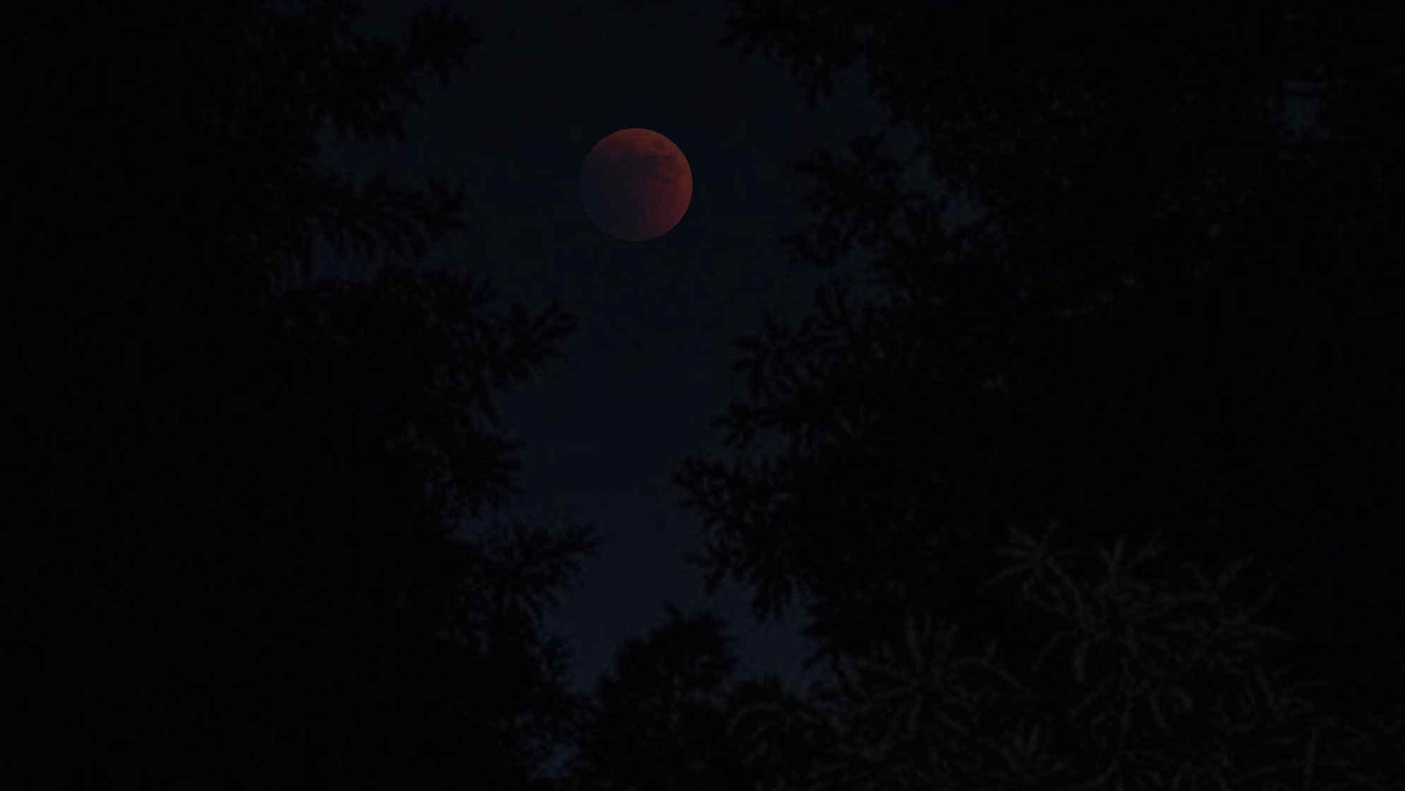 Eclissi totale di Luna: le immagini più belle sui social - Foto