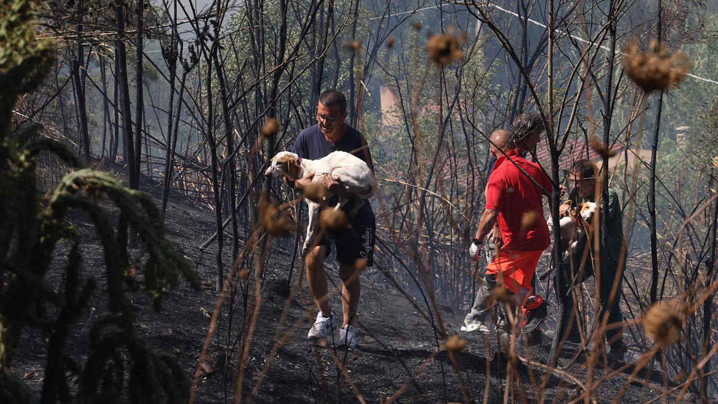 Un milione di ettari bruciati nel 2025, il tragico bilancio degli incendi boschivi nell'Ue: già 4 volte il 2024