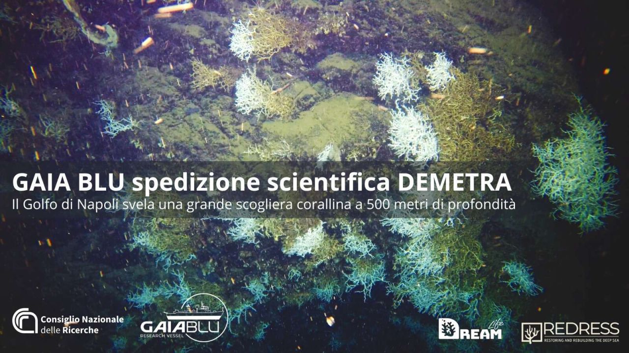 Scoperta nel Golfo di Napoli: canyon sommerso e coralli a 500 metri