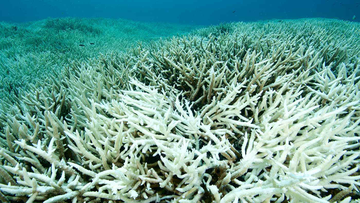 Clima, un punto di non ritorno e dove possiamo ancora intervenire
