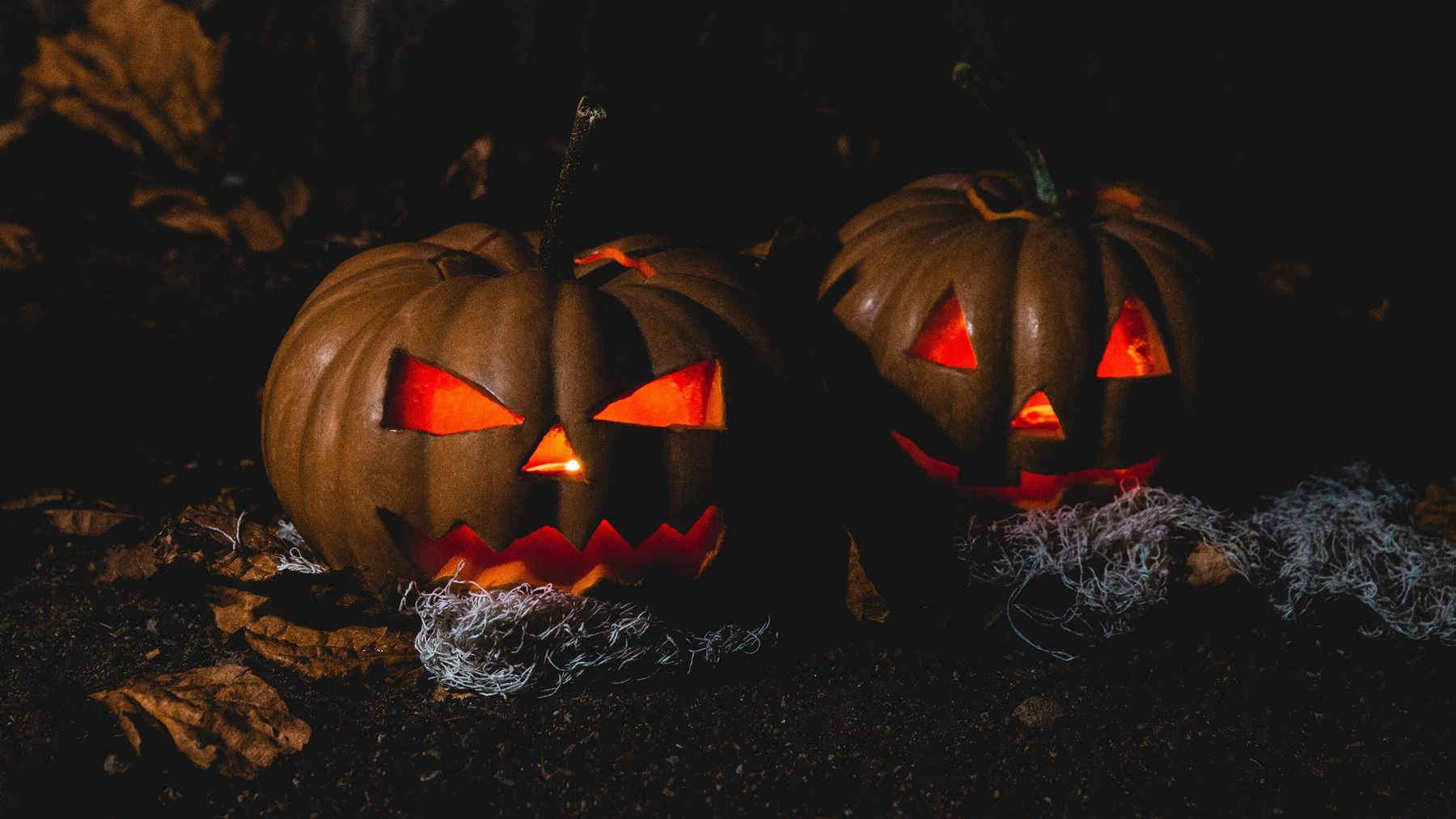 CANDLE IDEA 6 Luci LED A Forma Di Zucca Per Halloween Con Telecomando E Timer