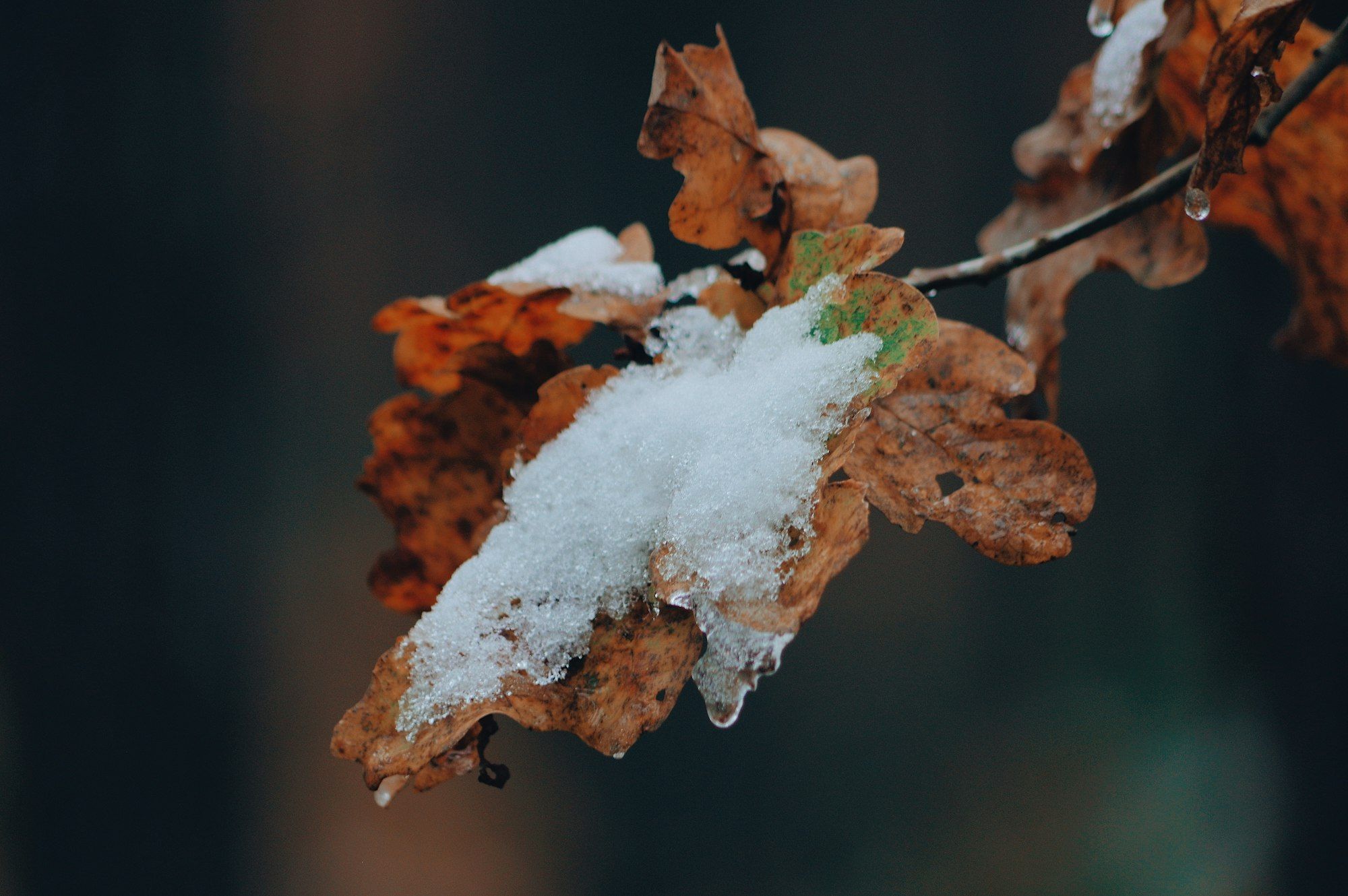 Nevicate storiche in autunno