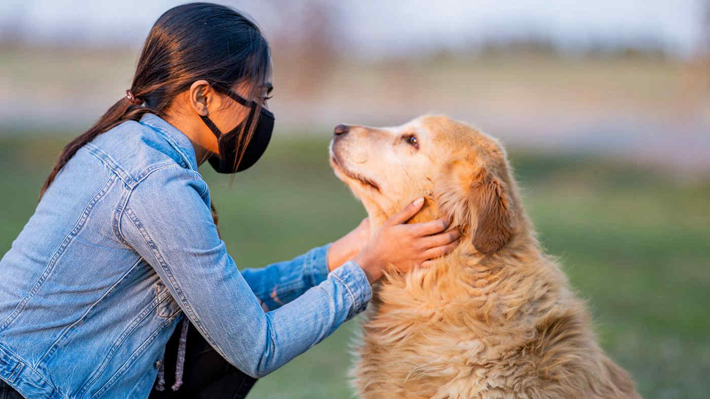 Inquinamento dell'aria: i rischi anche per gli animali e come difenderli