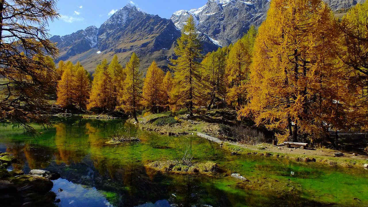 Cosa fare per l'Immacolata 2025: tre giorni di festa per godersi al meglio una mini vacanza