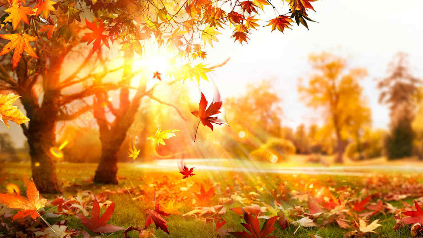 L'estate di San Martino porta sole e clima mite in Italia con temperature sopra la media: le previsioni