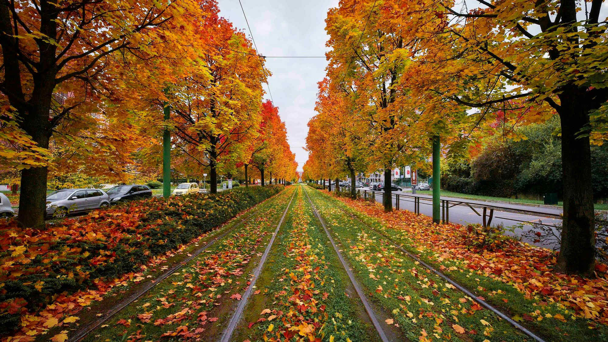 Torna l'alta pressione: estate di San Martino tra sole e nebbie. La tendenza da lunedì 10 novembre
