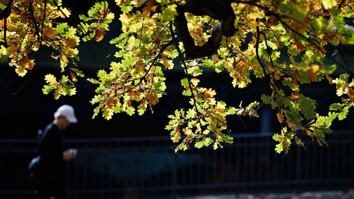 Meteo: sole e caldo anomalo fino a venerdì 14 novembre, poi torna la pioggia