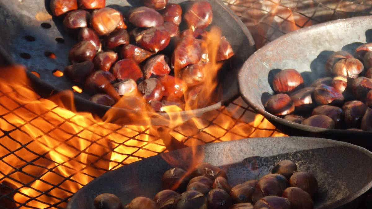 Roma, i caldarrostai dovranno cuocere le castagne col fotovoltaico, la delibera della Capitale rivoluziona il centro storico
