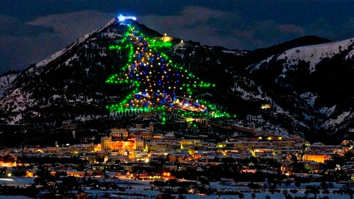 Dove si trova l'albero di Natale più grande al mondo? - Foto e Video