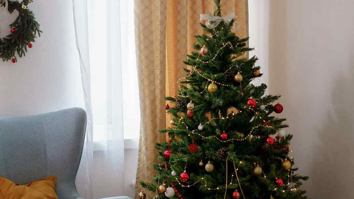 I consigli per far durare a lungo un albero di Natale vero, anche dopo le feste