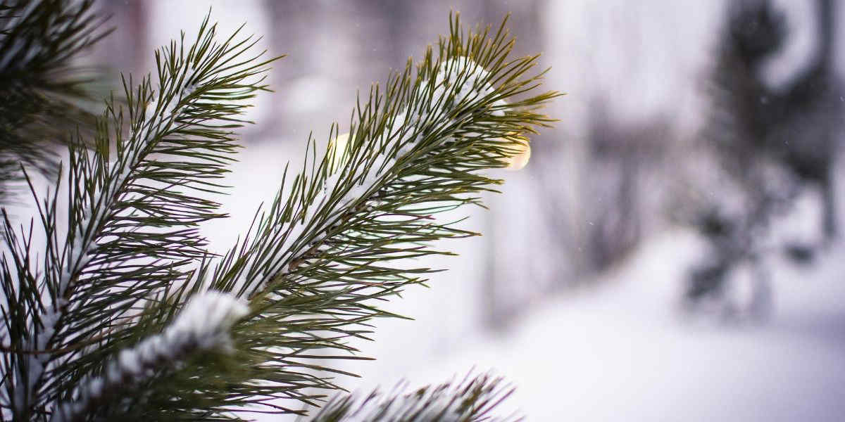 Meteo, le previsioni per gli ultimi giorni di dicembre 2025: arriva il freddo?