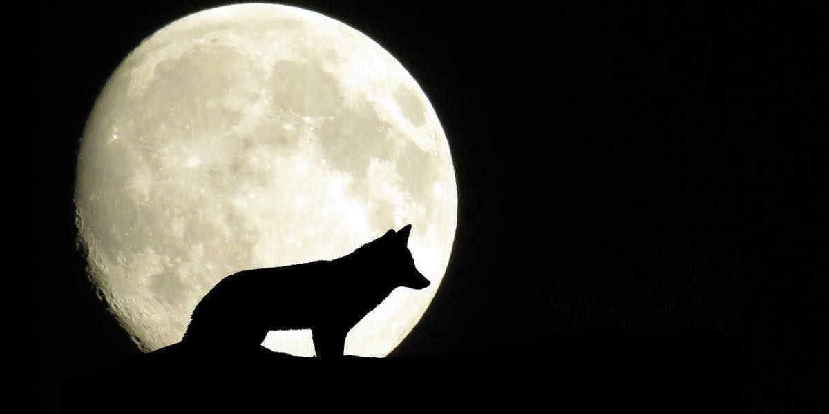 La Luna del Lupo è pronta a regalarci il primo spettacolo del 2026 (con una sorpresa extra)