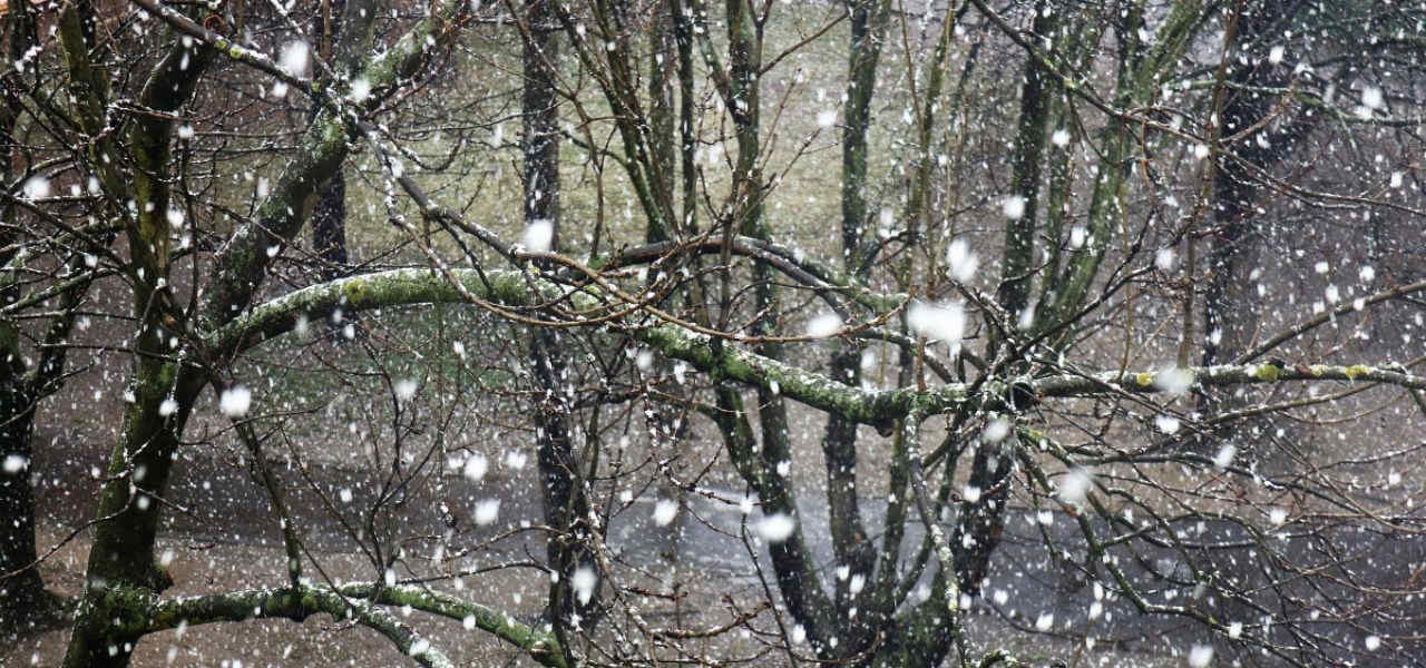 Che tempo farà all’Epifania? Le previsioni meteo